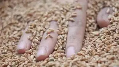 ГолосUA, фото - Новости Zakon.kz от 06.12.2019 22:30