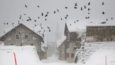 cameralabs.org, фото - Новости Zakon.kz от 16.02.2020 20:43