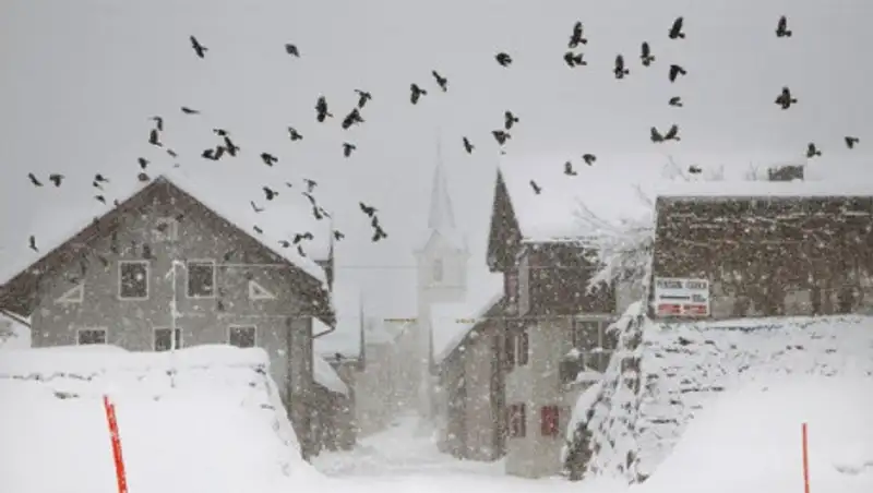 "Снег": припорошенный и завьюженный мир в объективе Кристофа Жакро