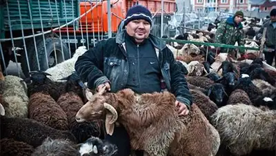 Zakon.kz, фото - Новости Zakon.kz от 03.10.2014 22:02