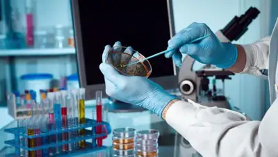 КТК, фото - Новости Zakon.kz от 02.07.2020 10:40