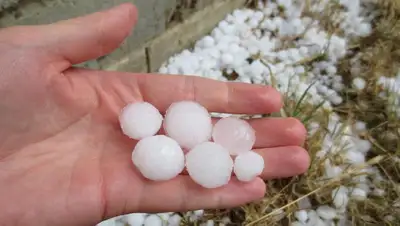град, прогноз погоды, Казахстан , фото - Новости Zakon.kz от 09.06.2022 15:22