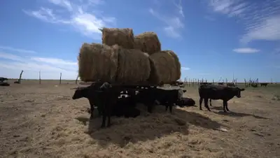 УВП Атырау, фото - Новости Zakon.kz от 24.08.2020 20:32