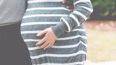 pxhere.com, фото - Новости Zakon.kz от 09.12.2020 18:34