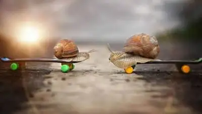 neg.by, фото - Новости Zakon.kz от 16.09.2021 22:47