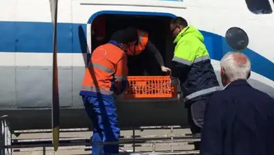 inaktau.kz, фото - Новости Zakon.kz от 23.04.2019 09:57