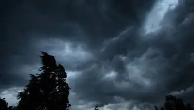 Zakon.kz, фото - Новости Zakon.kz от 17.06.2016 12:00