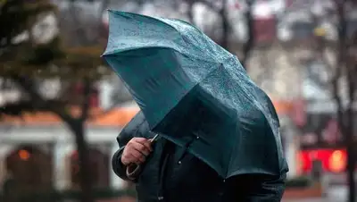 Zakon.kz, фото - Новости Zakon.kz от 09.08.2017 21:39