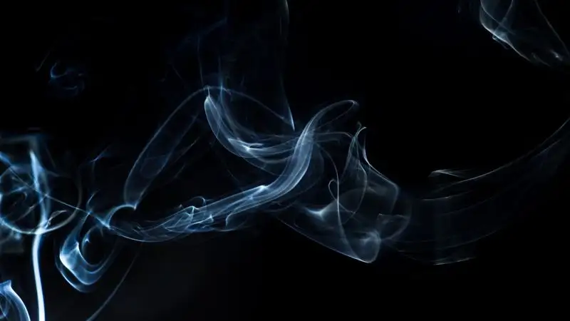 Досаев поручил разобраться с кальянными