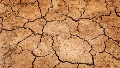 pixabay.com, фото - Новости Zakon.kz от 18.06.2021 12:44