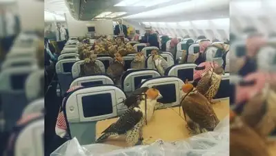 Zakon.kz, фото - Новости Zakon.kz от 31.01.2017 22:59