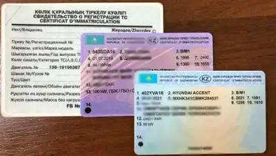 пресс-служба ДП ВКО, фото - Новости Zakon.kz от 03.08.2021 11:50