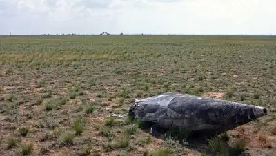 azh.kz, фото - Новости Zakon.kz от 01.02.2018 13:13