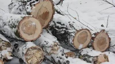 baiginews.kz, фото - Новости Zakon.kz от 12.01.2021 14:16