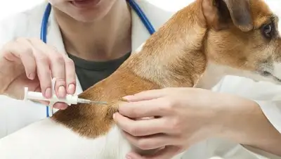 Zakon.kz, фото - Новости Zakon.kz от 03.07.2017 18:35