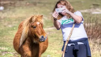 Фото © Flickr/Decaseconds, фото - Новости Zakon.kz от 05.12.2017 20:26