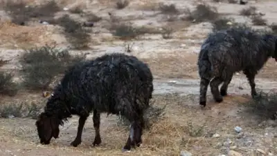 Zakon.kz, фото - Новости Zakon.kz от 07.11.2016 14:26