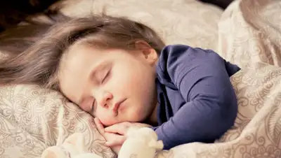 pixabay.com, фото - Новости Zakon.kz от 18.09.2019 18:14