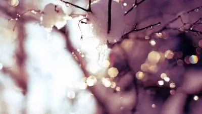 Zakon.kz, фото - Новости Zakon.kz от 09.03.2017 12:00