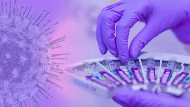 Происхождение коронавируса - ВОЗ опроверг информацию о сделке с КНР