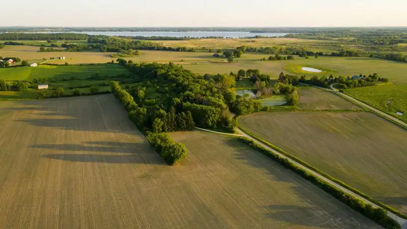 Пастбища в Акмолинской области стоимостью 285 млн тенге вернули государству