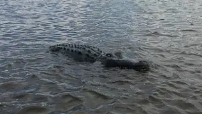 Zakon.kz, фото - Новости Zakon.kz от 27.06.2017 22:04