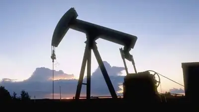 Zakon.kz, фото - Новости Zakon.kz от 11.10.2015 03:09