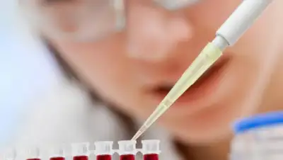 recetasparaadelgazar.com, фото - Новости Zakon.kz от 01.09.2019 22:51