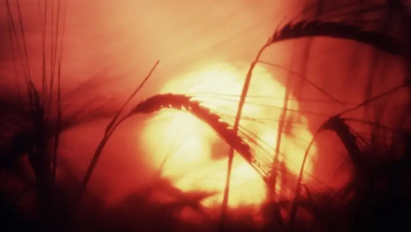 Жаркая погода сохранится в Казахстане в ближайшие дни