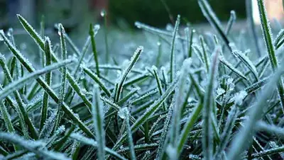 Українські Новини, фото - Новости Zakon.kz от 22.05.2019 15:34