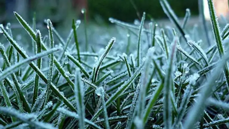 В ВКО ожидаются заморозки до двух градусов
