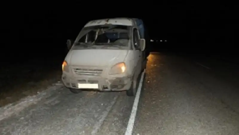 В Зауралье на трассе сбили казахстанца, который вышел из своей сломавшейся машины