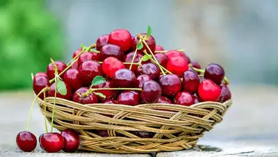 диетолог, фото - Новости Zakon.kz от 16.06.2022 13:58