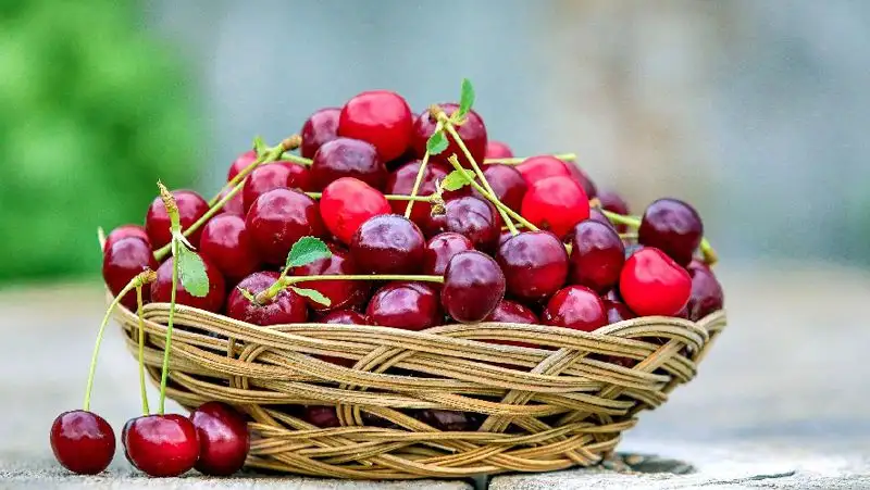 Диетолог назвал продукт, который помогает похудеть