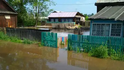 irk.kp.ru, фото - Новости Zakon.kz от 04.07.2019 08:30