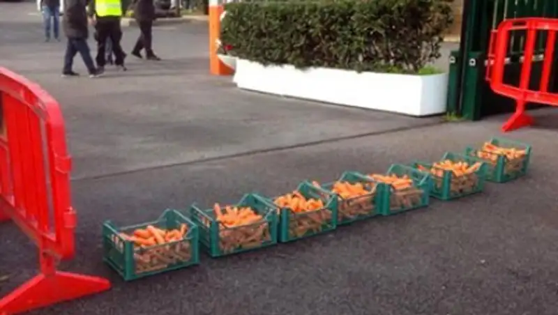 Фанаты «Ромы» оскорбили футболистов морковью