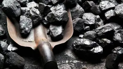 Zakon.kz, фото - Новости Zakon.kz от 12.10.2017 08:47