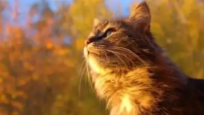 Zakon.kz, фото - Новости Zakon.kz от 11.10.2017 15:23