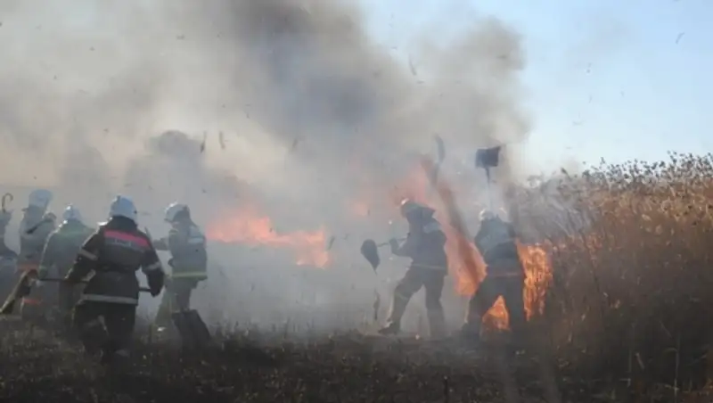 Ликвидировано возгорание камыша близ Петропавловска