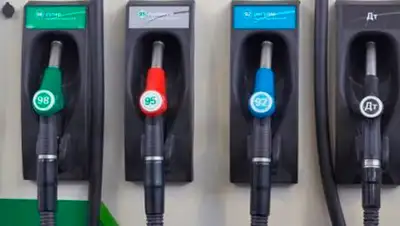 Zakon.kz, фото - Новости Zakon.kz от 22.08.2014 21:12