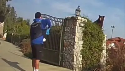 В США курьера с посылкой встретил медведь, фото - Новости Zakon.kz от 24.01.2022 02:08