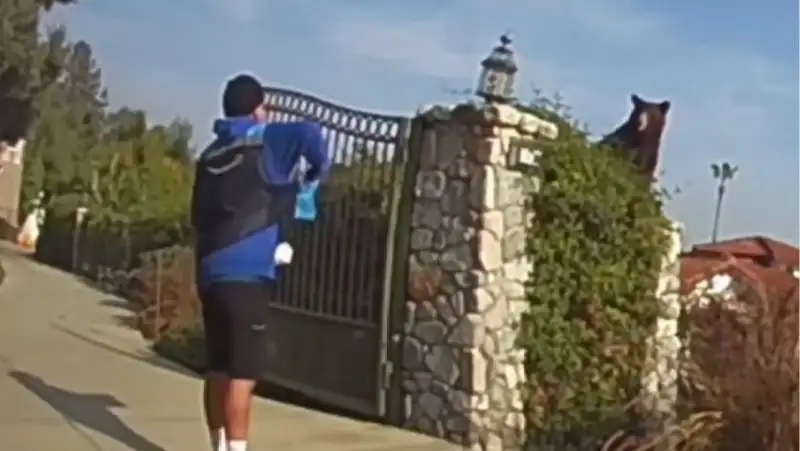 В США курьера с посылкой встретил медведь