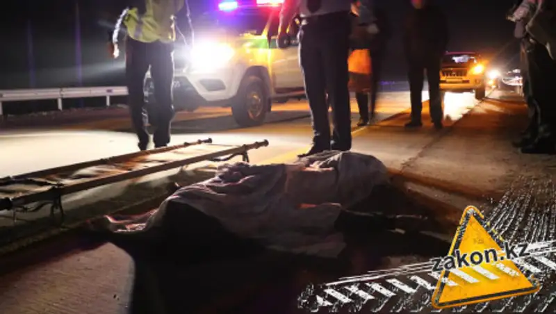 В Алматинской области Mercedes насмерть сбил женщину