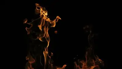 pixabay.com, фото - Новости Zakon.kz от 08.02.2019 20:10