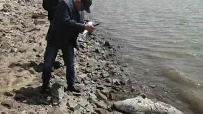 Минэкологии комментарий, фото - Новости Zakon.kz от 27.04.2022 20:12