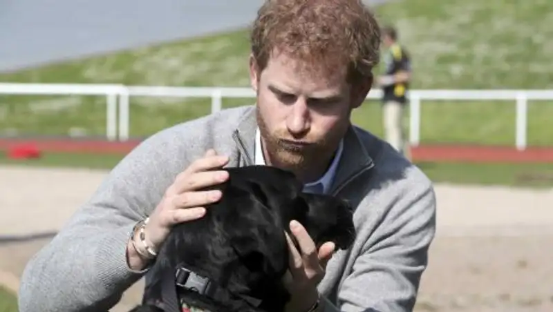 Принц Гарри рассказал, как гибель принцессы Дианы повлияла на его жизнь