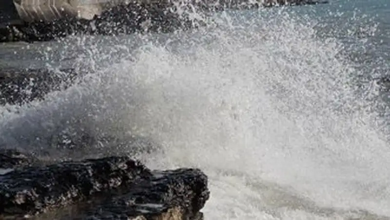 Состоялась региональная встреча по защите морской среды Каспия