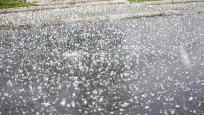 zakon.kz, фото - Новости Zakon.kz от 14.05.2020 18:00