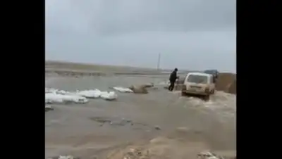 кадр из видео, фото - Новости Zakon.kz от 10.04.2018 16:58