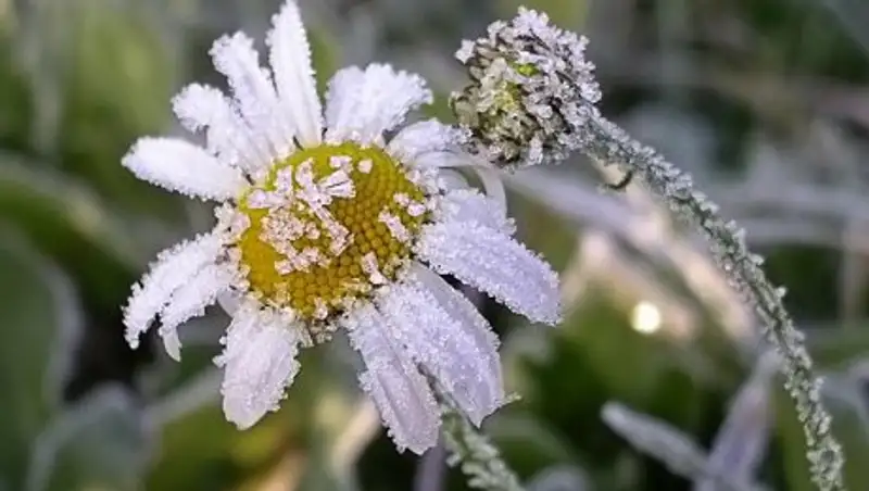 Синоптики предупреждают о заморозках и паводках в регионах РК